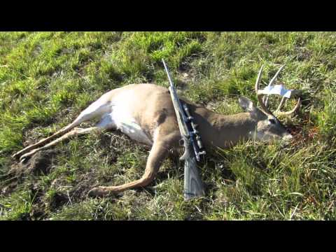 NOSLER PARTITION: The King of Hunting Bullets