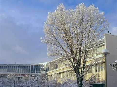 Trees for All Seasons