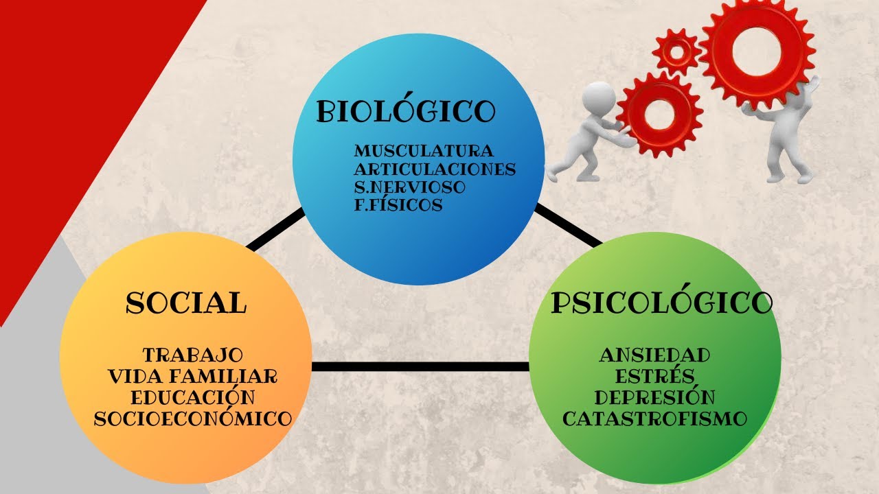 MODELO BIOPSICOSOCIAL- ¿Por qué dos pacientes iguales evolucionan de manera diferente