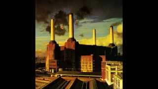 Pink Floyd Pigs Three different Ones