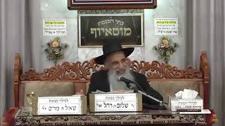 הרב מאיר דוד שמואלי - פרשת שלח לך תשפ"ה