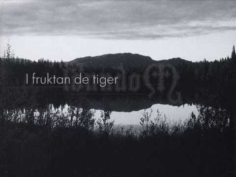 Lönndom - stallo (lyrics)