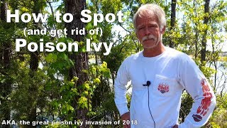 How to Spot(and get rid of)Poison Ivy