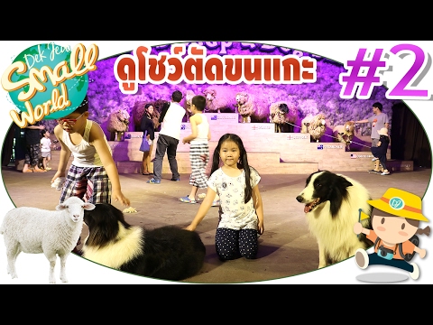 อวัยวะเพศด้วยการผ่าตัด คุณสามารถใช้ค้อนของ ธ อร์สาว