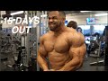 FOCUSED| 15 DAYS OUT