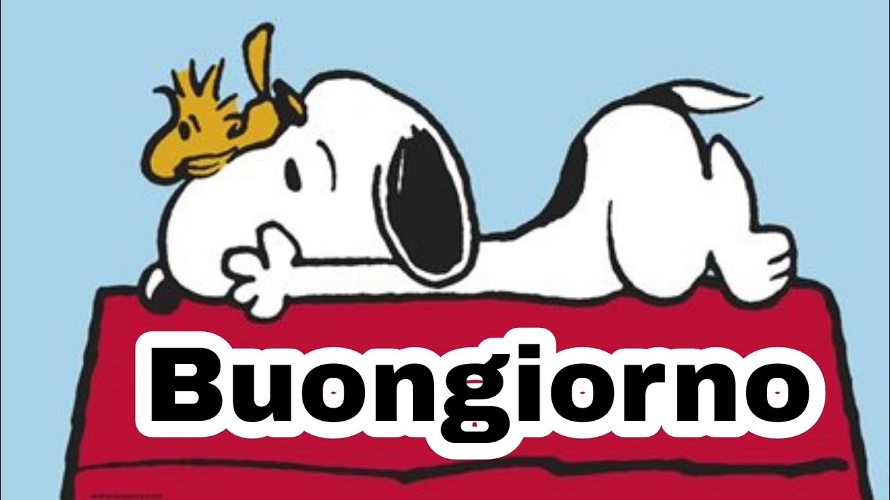 Watch Now immagini divertenti di buongiorno per whatsapp❣ Buona giornata a tutti immagini divertenti di buongiorno per whatsapp❣ Buona giornata a tutti