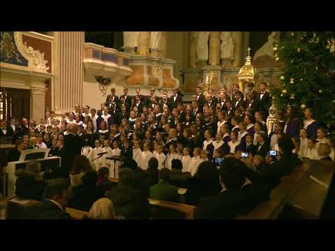 Kalėdų rytą - J. Cechanovičius - Cantores David ir Dagilėlis