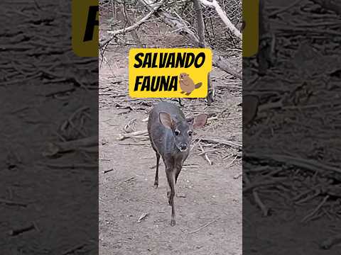 ¡Pedaleando hacia un refugio de animales silvestres! 🚴‍♂️🦅