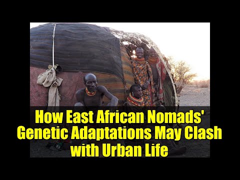 How East African Nomads' Genetic Adaptations May Clash with Urban Life | Turkana Health & Genomics