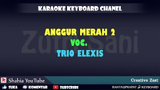 Download lagu ANGGUR MERAH 2 KARAOKE NADA PRIA KN7000 mp3