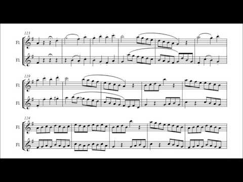 Ludwig van Beethoven - Duo for two flutes WoO 26 (VIDEO REQUEST)
