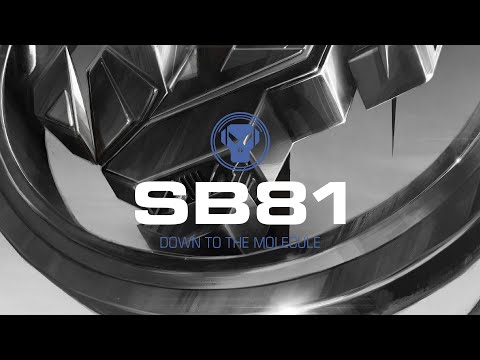 SB81 - Down To The Molecule