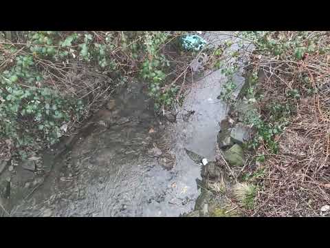 ???? ZPÍVÁNÍ V DEŠTI  -  Singing in the rain  -  Menyanyi dalam hujan  -  الغناء تحت المطر