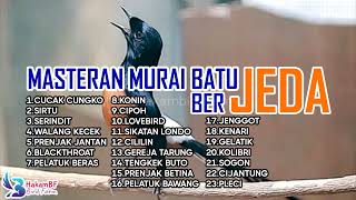 Download lagu Masteran murai batu full isian tembakan jeda mp3 Download lagu Masteran murai batu full isian tembakan jeda mp3