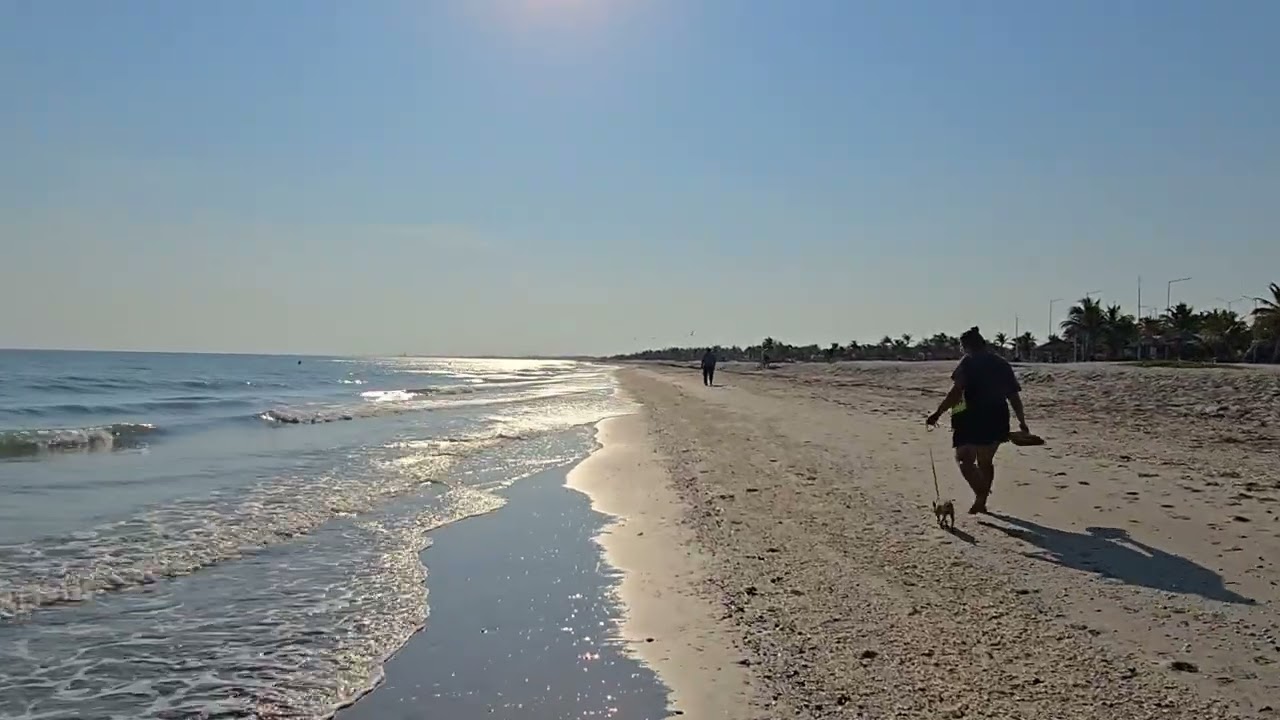 Mexico 🇲🇽 - Walking on the beach on a sunny morning