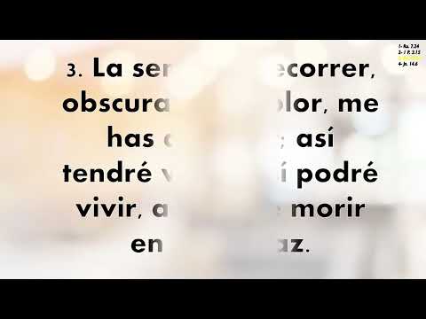 Himno 318 Objeto de mi fe