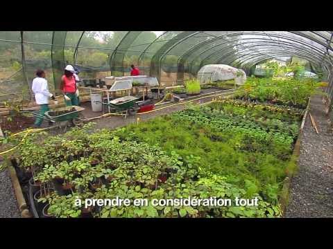 comment financer une formation en guadeloupe