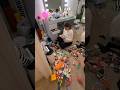 Cleaning out my Makeup Vanity✨ organizing, Cleaning & Decorating￼