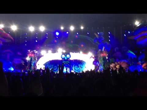 Armin Van Buuren - This Is What It Feels Like - EDC LV 2013