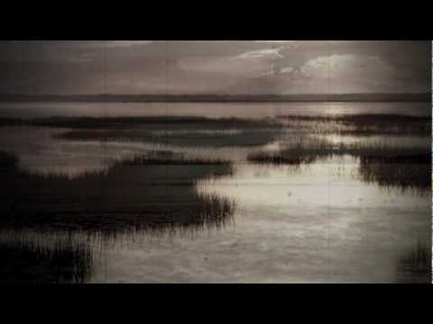 Aurelian Andreescu - In zori