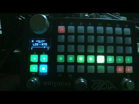 ステレオルーパーとパンのテスト(empress ZOIA)