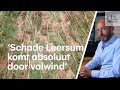 'Schade Leersum komt absoluut door valwind', Reinier van den Berg legt uit wat dat is