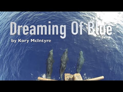 Scuba Diving Socorro Island, Dreaming Of Blue