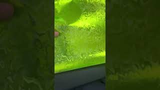 Zelená Lime smoke ghost chrom carbon 1.52m x 18m
