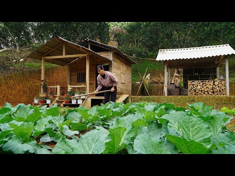 The girl harvests and plants the seeds for the future of her farm. |ly tu yen|