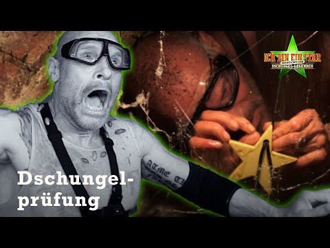 Thorsten im GRAUEN-KNAST 😱 Wie viele STERNE kann er sichern? 🤔 | Legenden-Dschungelcamp