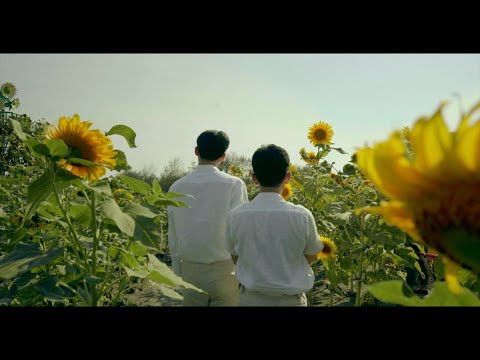 Matter Halo - When the Screen Is Turning Black, but You're Still Seeing the Light (Official Video)