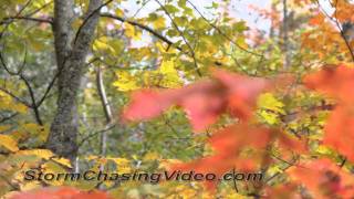 preview picture of video '9/25/2011 Ely, MN area fall colors'