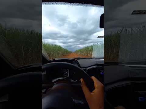 Mas estradas de Igarapava, Usina Junqueira #raizen #saopaulo #agro #agronegocio