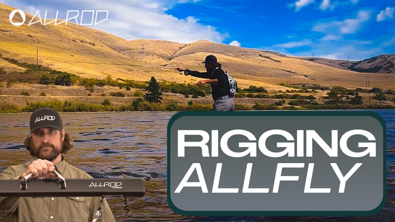 ALL ABOUT THE ALLFLY