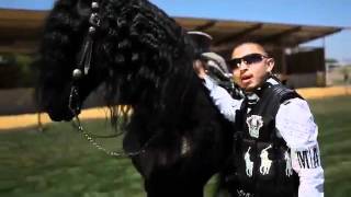 Gabriel Silva - Guerrero Enamorado (Video Oficial)