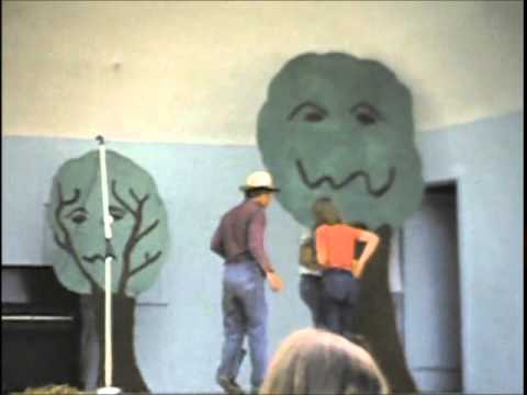 Wizard of Oz (sort of) July 4, 1981