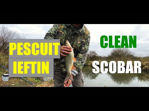 Pescuit la BOLO cu momeli ieftine! (CLEAN , SCOBAR)