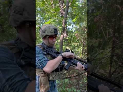 Springfield Armory Hellion (VHS-2) and subsonic 5.56