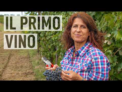 VENDEMMIA 2024: tutti gli USI dell'UVA🍇