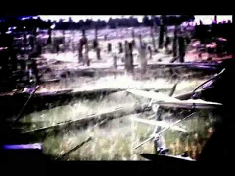 Black Orchid (Official Video)