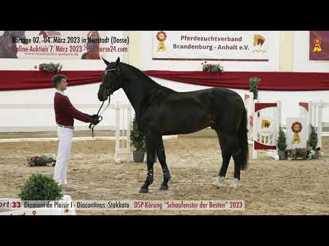 33 Diamant de Plaisir Diacontinus