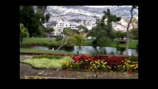 preview picture of video 'Stª Catarina Park in Funchal Madeira 2014'