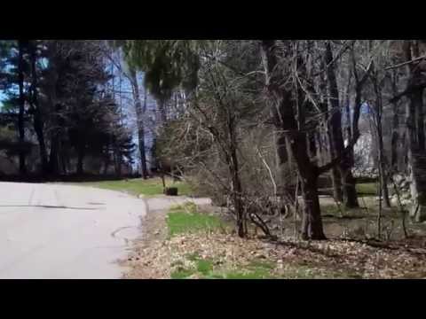 32 Meadowbrook Rd, Westwood, MA - Street Scene