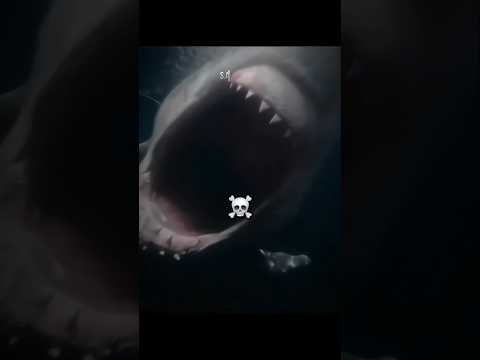 🎼:SLAVA FUNK! (Slowed)