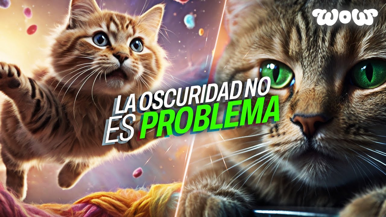 10 CURIOSIDADES que quizás NO SABÍAS de los GATOS! 😸