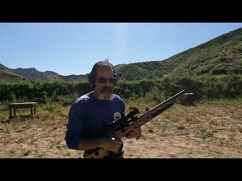 Volquartsen Summit 22LR. A great rifle with no real reason to exist.