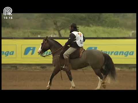 Classificatória Região Sul – 8° lugar fêmeas – Iguana do Capão Redondo (Prova: Bayard/Sarmento)