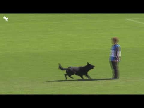 2019　ＷＵＳＶ　ＷＭ（Ｂ）