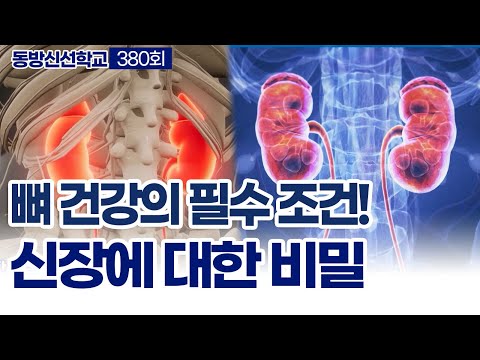 기초(숨) 수행과정