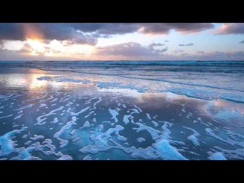 Tuneflux - Sanguine (Original Mix) [Diverted Music]